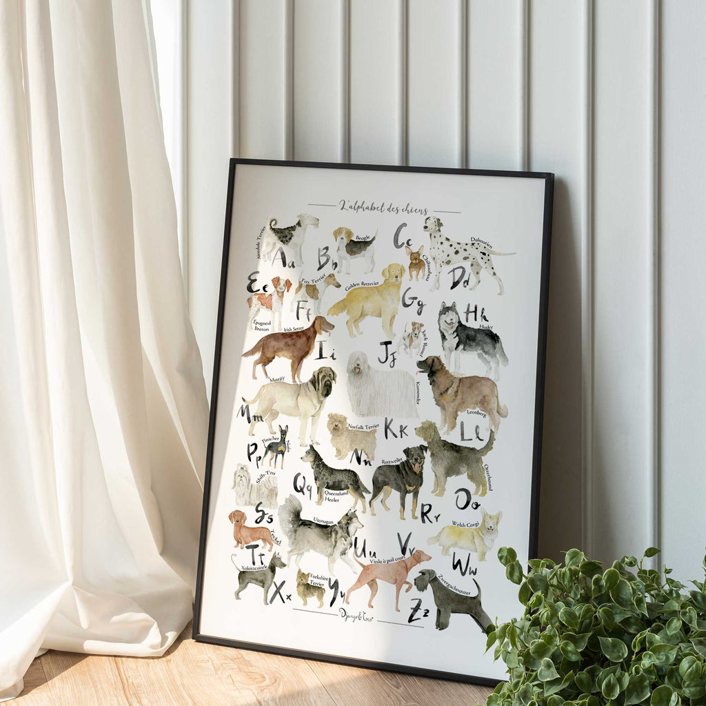 L'Alphabet des Chiens