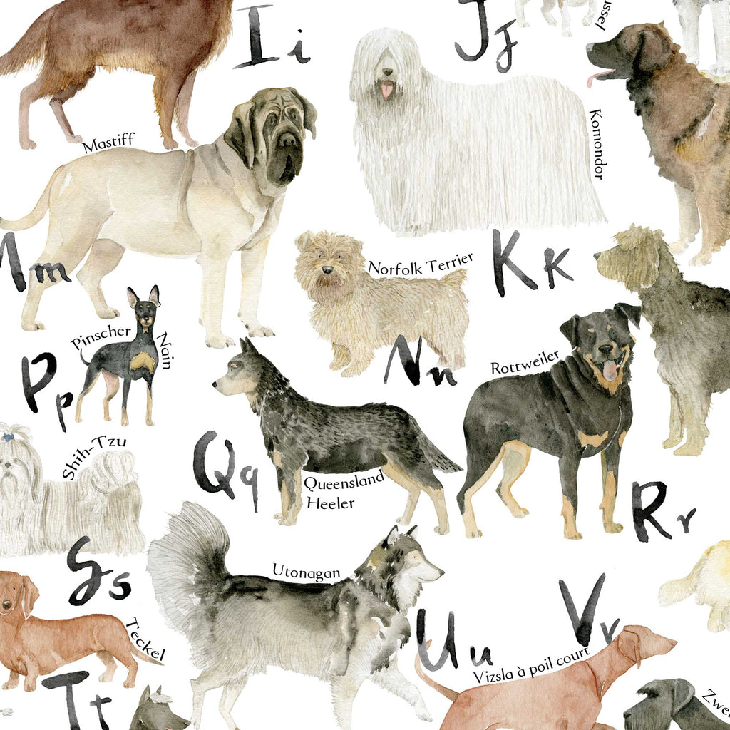 L'Alphabet des Chiens