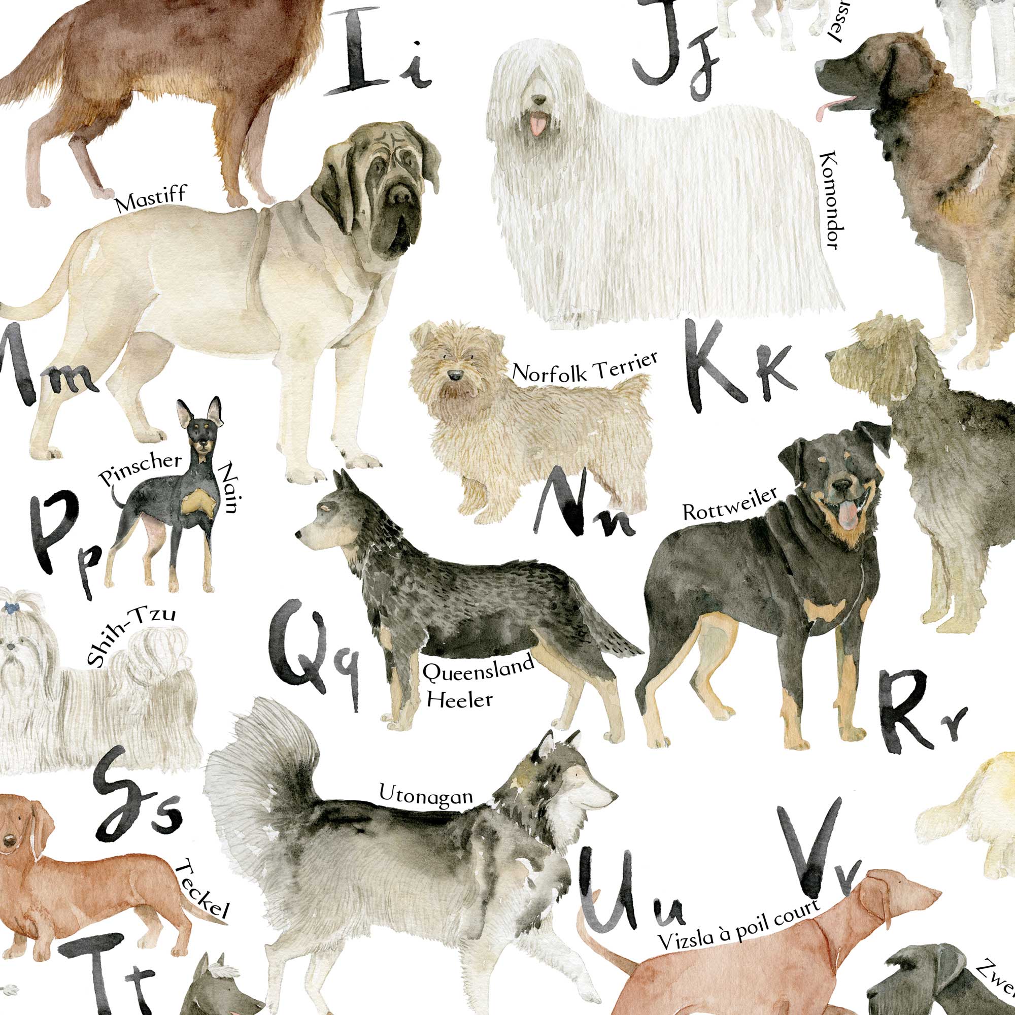 L'Alphabet des Chiens
