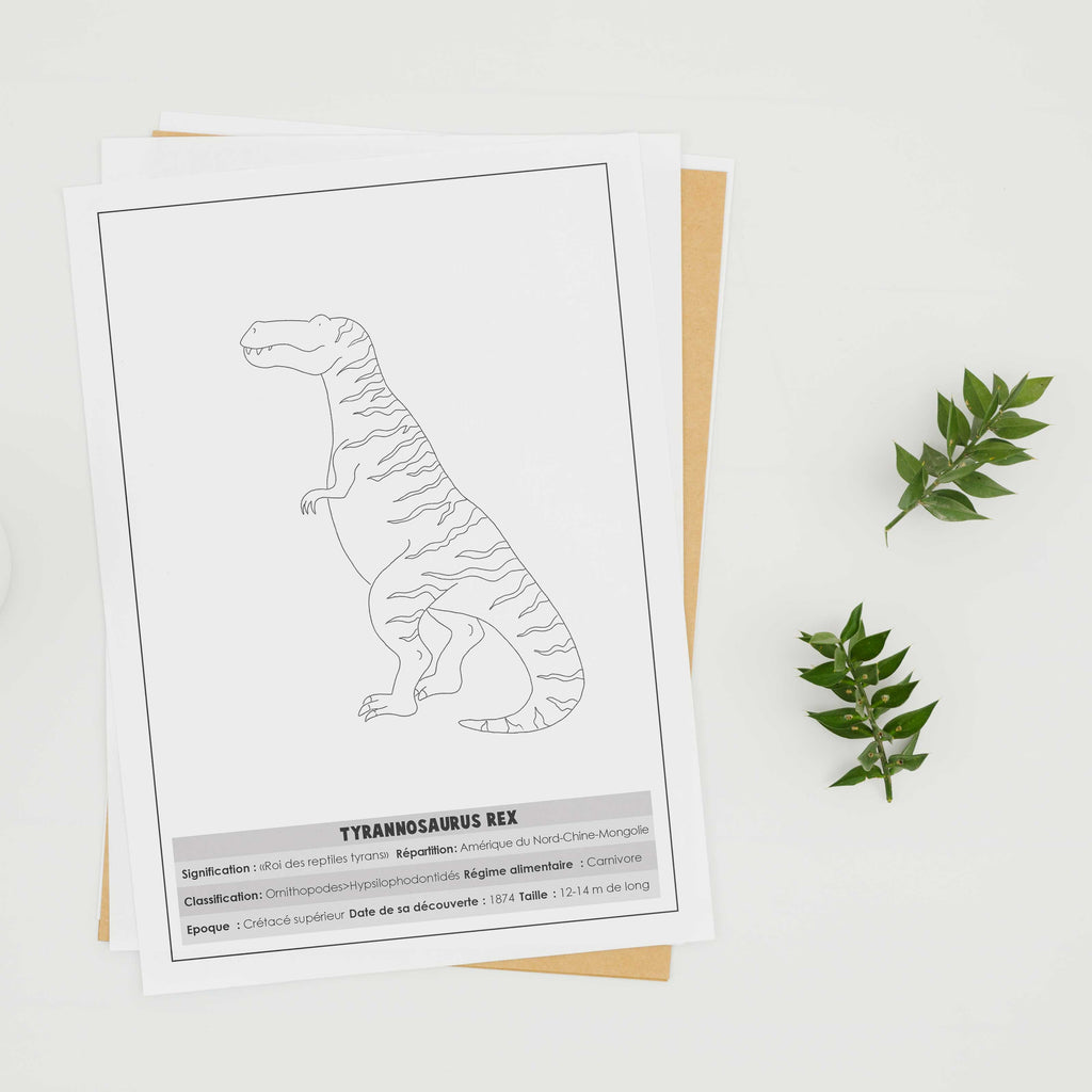 Livre des dinosaures à colorier