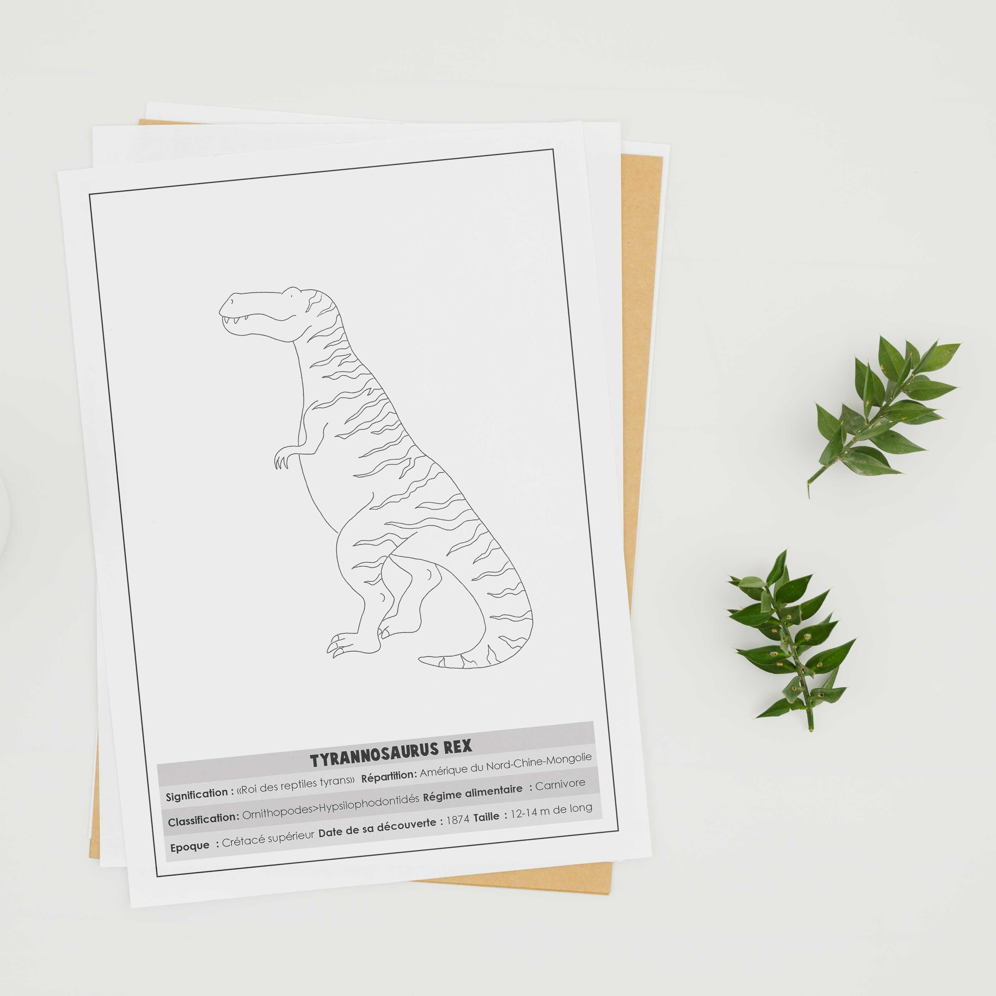 Livre des dinosaures à colorier