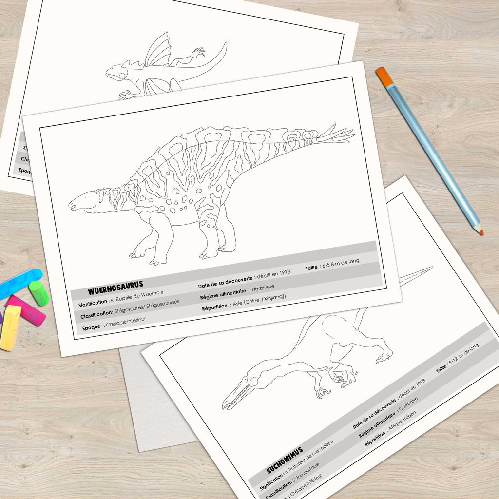 Livre des dinosaures à colorier