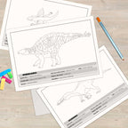 Livre des dinosaures à colorier