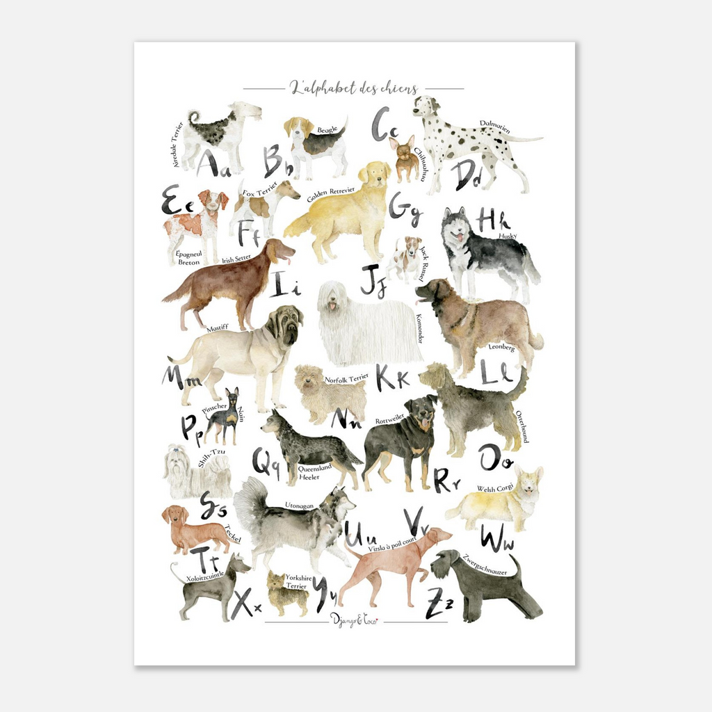 affiche representatn un abecedaire illustré avec les races de chiens